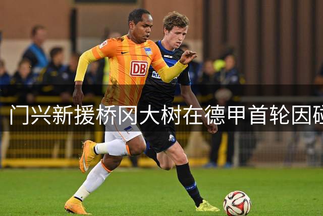 门兴新援桥冈大树在德甲首轮因碰撞伤送医检查